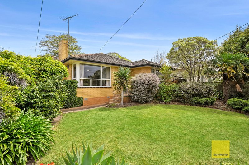 2 Glyn Street, Belmont VIC 3216