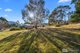 Photo - 2 Hall Road, Collinsvale TAS 7012 - Image 19