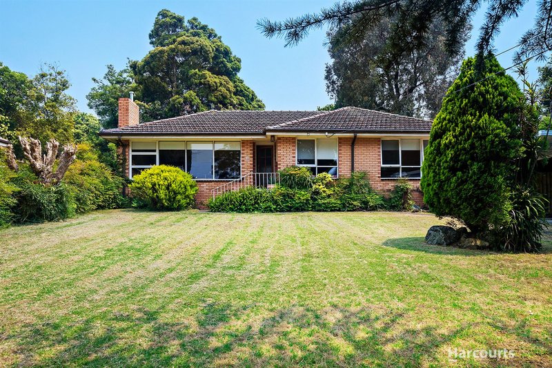 Photo - 2 Holyrood Drive, Vermont VIC 3133 - Image 3