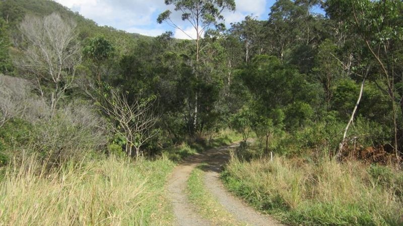 Photo - 2 Howard Creek Place, Wongawallan QLD 4210 - Image 4