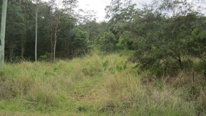 Photo - 2 Howard Creek Place, Wongawallan QLD 4210 - Image 6