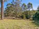 Photo - 2 Hugh Guinea Court, Worongary QLD 4213 - Image 8