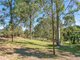 Photo - 2 Hugh Guinea Court, Worongary QLD 4213 - Image 19