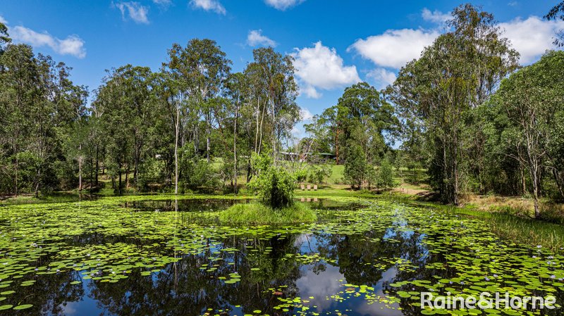 Photo - 2 Knobby Glen Road, Kandanga QLD 4570 - Image 17