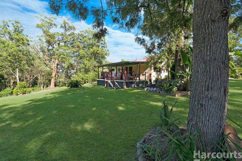 Photo - 2 Link Road, Yarravel NSW 2440 - Image 3