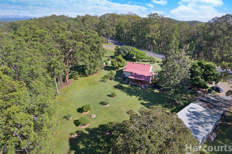 Photo - 2 Link Road, Yarravel NSW 2440 - Image 9