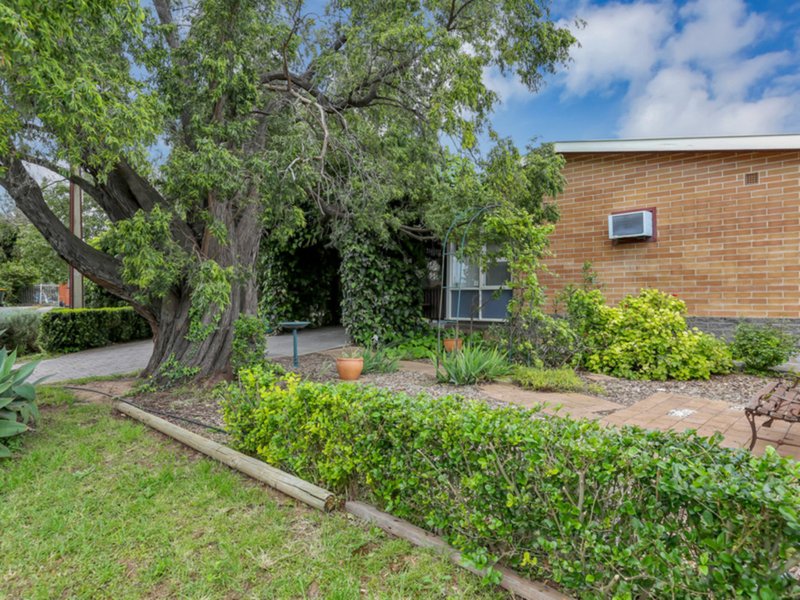 Photo - 2 Oak Court, Campbelltown SA 5074 - Image 4