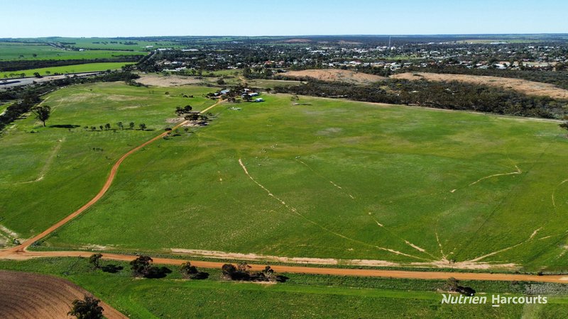 Photo - 2 O'Connor Street, Merredin WA 6415 - Image 3