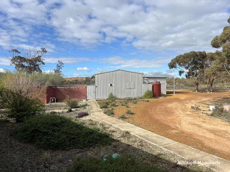 Photo - 2 O'Connor Street, Merredin WA 6415 - Image 9