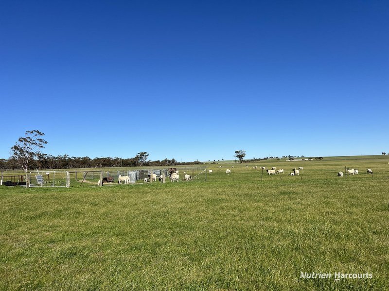 Photo - 2 O'Connor Street, Merredin WA 6415 - Image 17