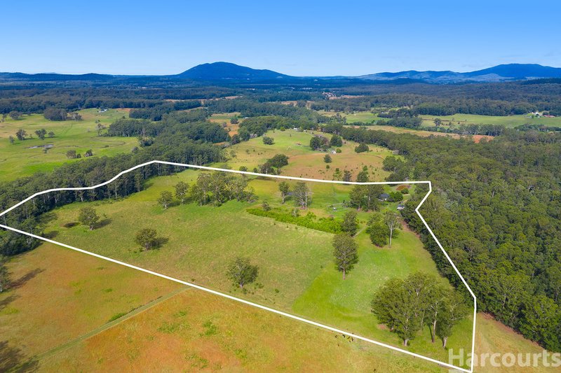 Photo - 2 Old Mill Road, Herons Creek NSW 2439 - Image 14