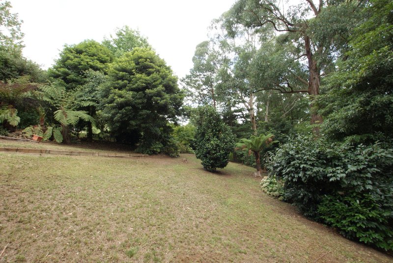 Photo - 2 Old Warburton Road, Warburton VIC 3799 - Image 4