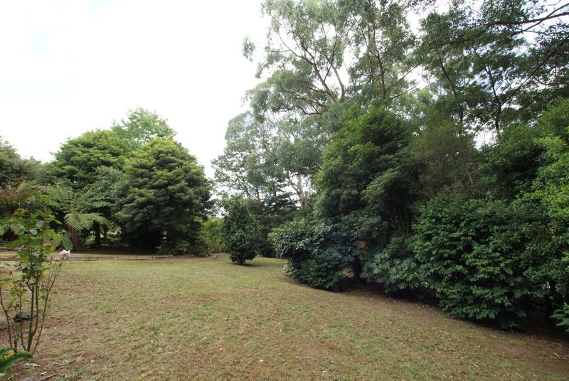 Photo - 2 Old Warburton Road, Warburton VIC 3799 - Image 5