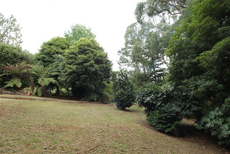 Photo - 2 Old Warburton Road, Warburton VIC 3799 - Image 6