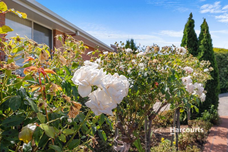 Photo - 2 Olive Court, Miandetta TAS 7310 - Image 35