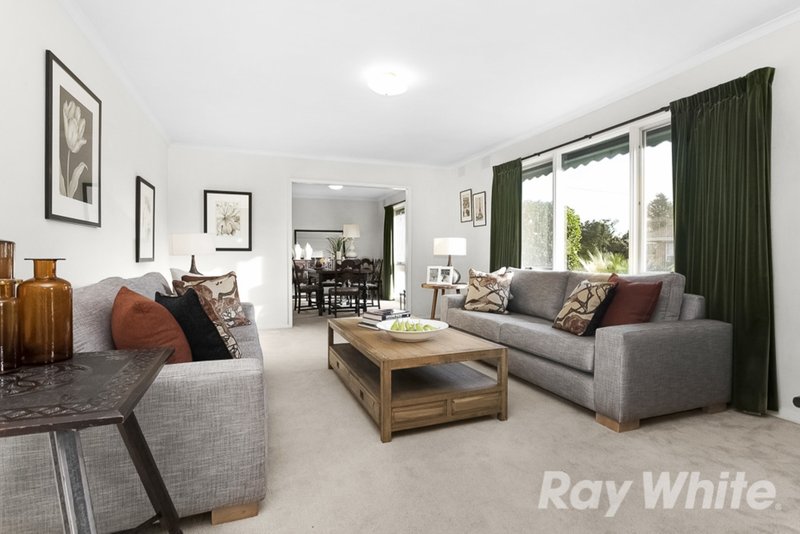 Photo - 2 Ormiston Street, Mount Waverley VIC 3149 - Image 6