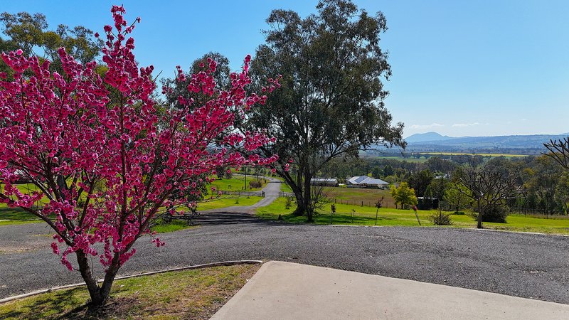 Photo - 2 Paulas Place, Quirindi NSW 2343 - Image 9