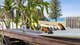 Photo - 2 Pippie Street, Yamba NSW 2464 - Image 1