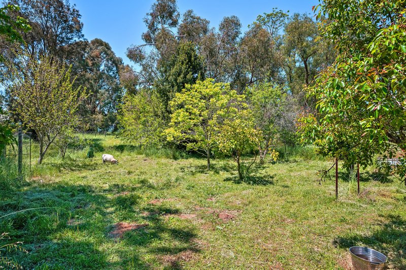 Photo - 2 Pitt Street, Collie WA 6225 - Image 20