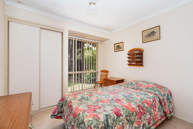 Photo - 2 Rainbird Court, Palmwoods QLD 4555 - Image 10