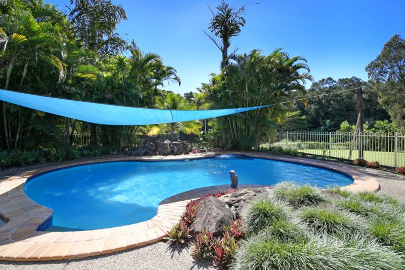 Photo - 2 River Gum Close, Mooloolah Valley QLD 4553 - Image 6