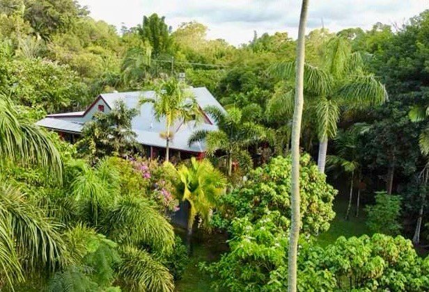 Photo - 2 River Tree Court, Eumundi QLD 4562 - Image 2