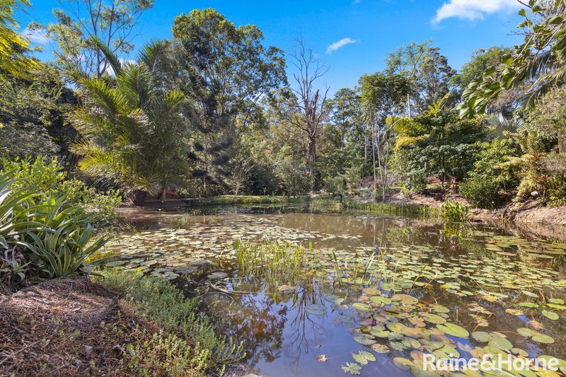 Photo - 2 River Tree Court, Eumundi QLD 4562 - Image 4