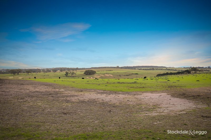 2 Straw Flower Circuit, Greenvale VIC 3059 Real Estate Industry Partners