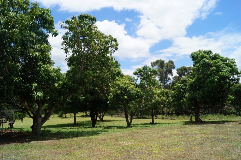 Photo - 2 Styx Road, Ogmore QLD 4706 - Image 12