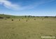 Photo - 2 Toolijooa Road, Toolijooa NSW 2534 - Image 3