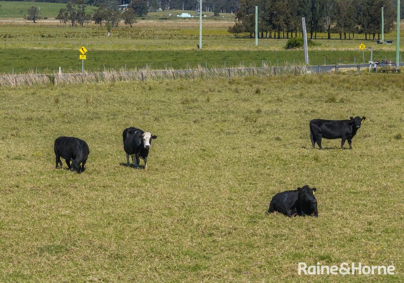 Photo - 2 Toolijooa Road, Toolijooa NSW 2534 - Image 4