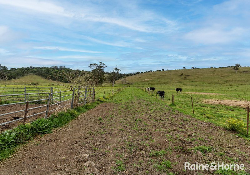Photo - 2 Toolijooa Road, Toolijooa NSW 2534 - Image 7