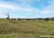 Photo - 2 Toolijooa Road, Toolijooa NSW 2534 - Image 13
