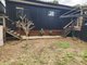 Photo - 2 Victoria Avenue, Russell Island QLD 4184 - Image 25
