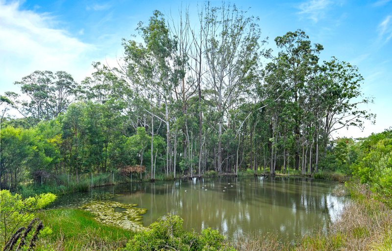 Photo - 2 White Fig Drive, Glenning Valley NSW 2261 - Image 3