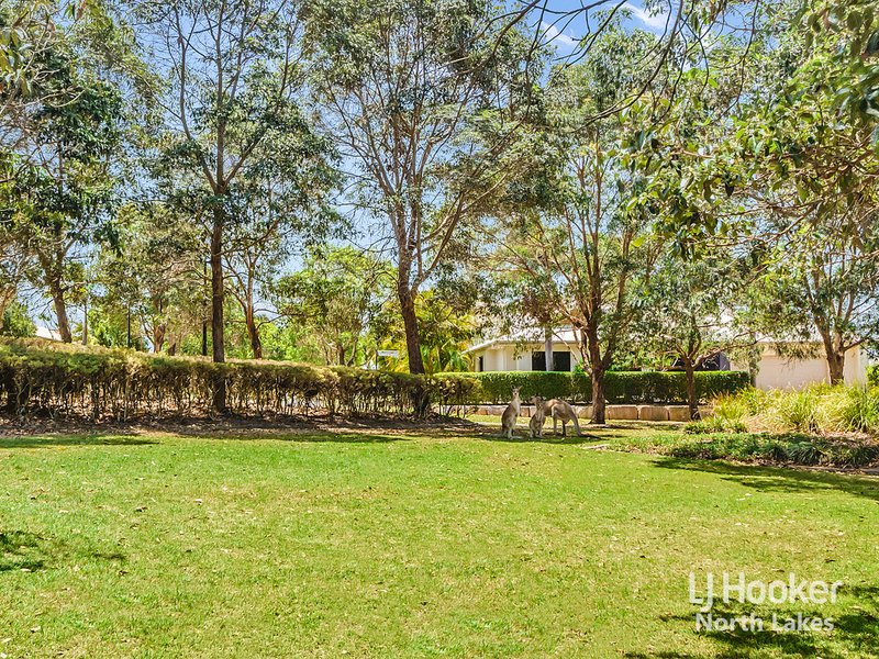 Photo - 2 Wilga Street, North Lakes QLD 4509 - Image 17