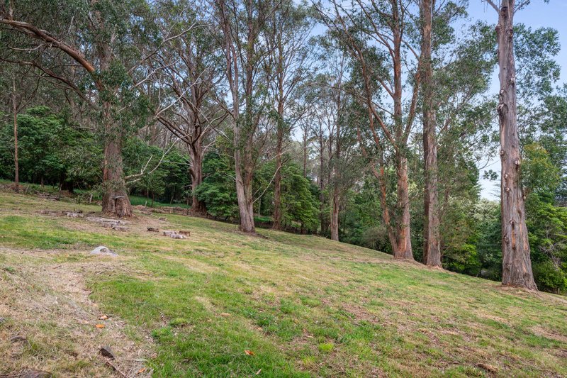 Photo - 2 William Street, Bowral NSW 2576 - Image 9