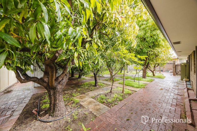 Photo - 2 Windsor Court, Balcatta WA 6021 - Image 22