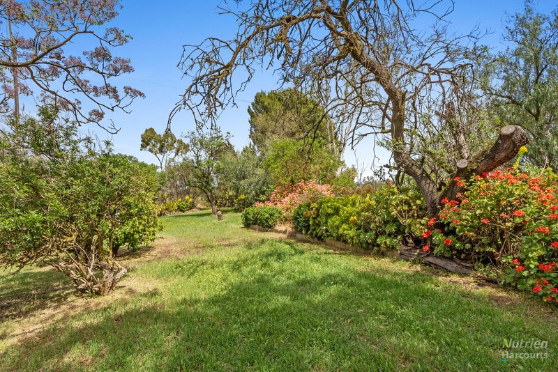 Photo - 2 Windy Hill Road, Riverton SA 5412 - Image 10