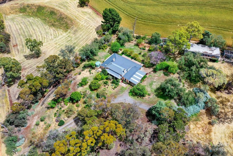 Photo - 2 Windy Hill Road, Riverton SA 5412 - Image 22