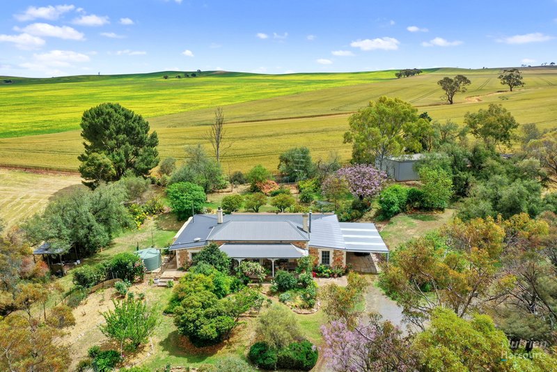 Photo - 2 Windy Hill Road, Riverton SA 5412 - Image 23