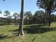 Photo - 2 Woodlot Place, Batehaven NSW 2536 - Image 3