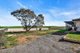 Photo - 20 Albert Street, Hamley Bridge SA 5401 - Image 18