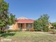 Photo - 20 Banjos Circuit, Hillvue NSW 2340 - Image 3