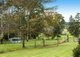 Photo - 20 Betts Close, Killabakh NSW 2429 - Image 3