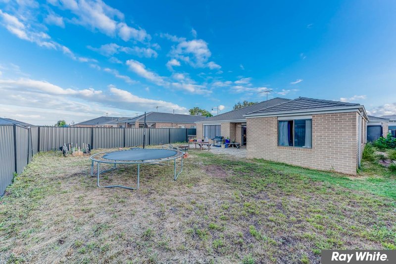 Photo - 20 Bluejay Crescent, Tarneit VIC 3029 - Image 18