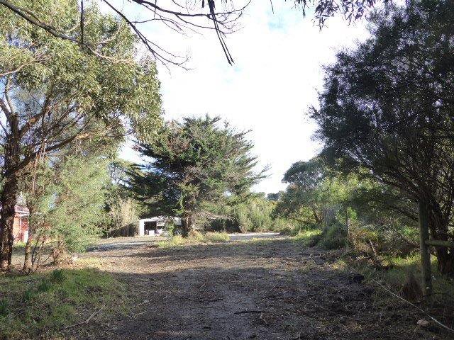 Photo - 20 Bluff Road, Whitemark TAS 7255 - Image 2