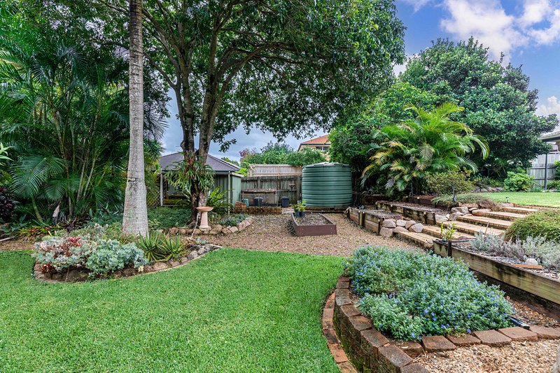 Photo - 20 Bowden Street, Carseldine QLD 4034 - Image 19