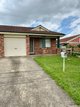 Photo - 20 Budgerigar Street, Green Valley NSW 2168 - Image 1