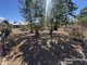 Photo - 20 Burns Crescent, Wondai QLD 4606 - Image 22